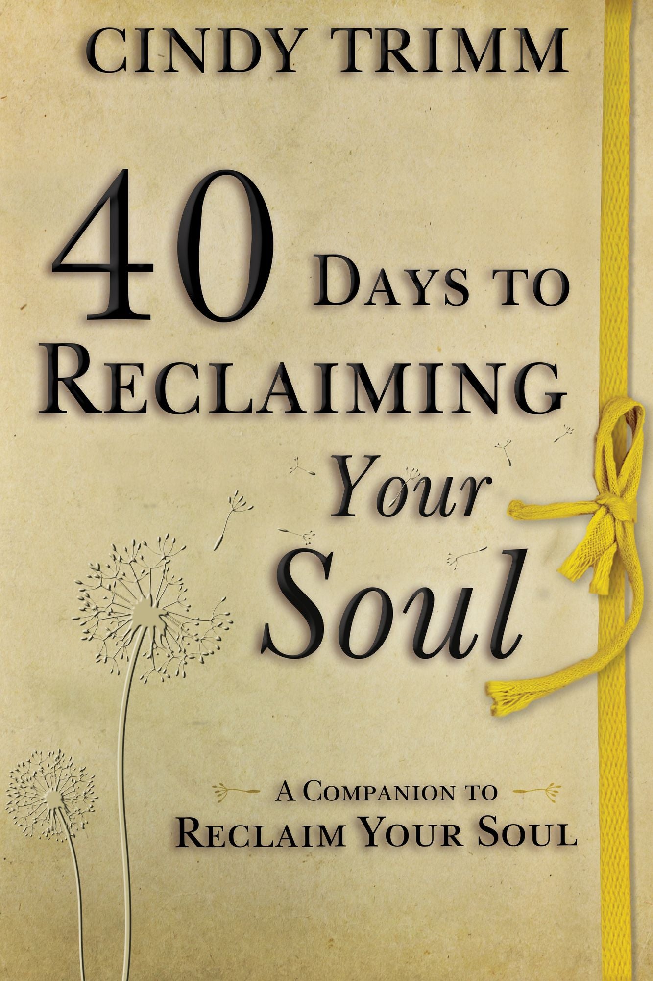 40 Days to Reclaiming Your Soul: A Companion to Reclaim Your Soul