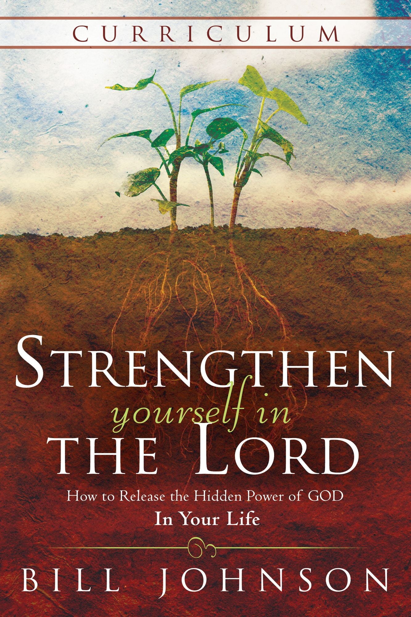 Strengthen Yourself in the Lord Curriculum: How to Release the Hidden Power of God in Your Life