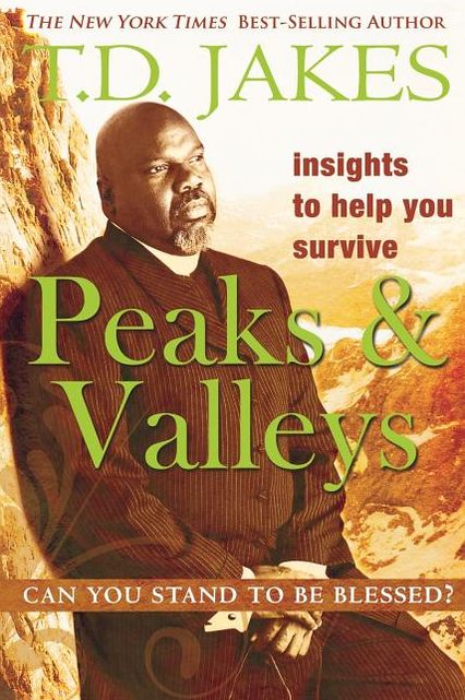 Insights To Help You Survive The Peaks And Valleys