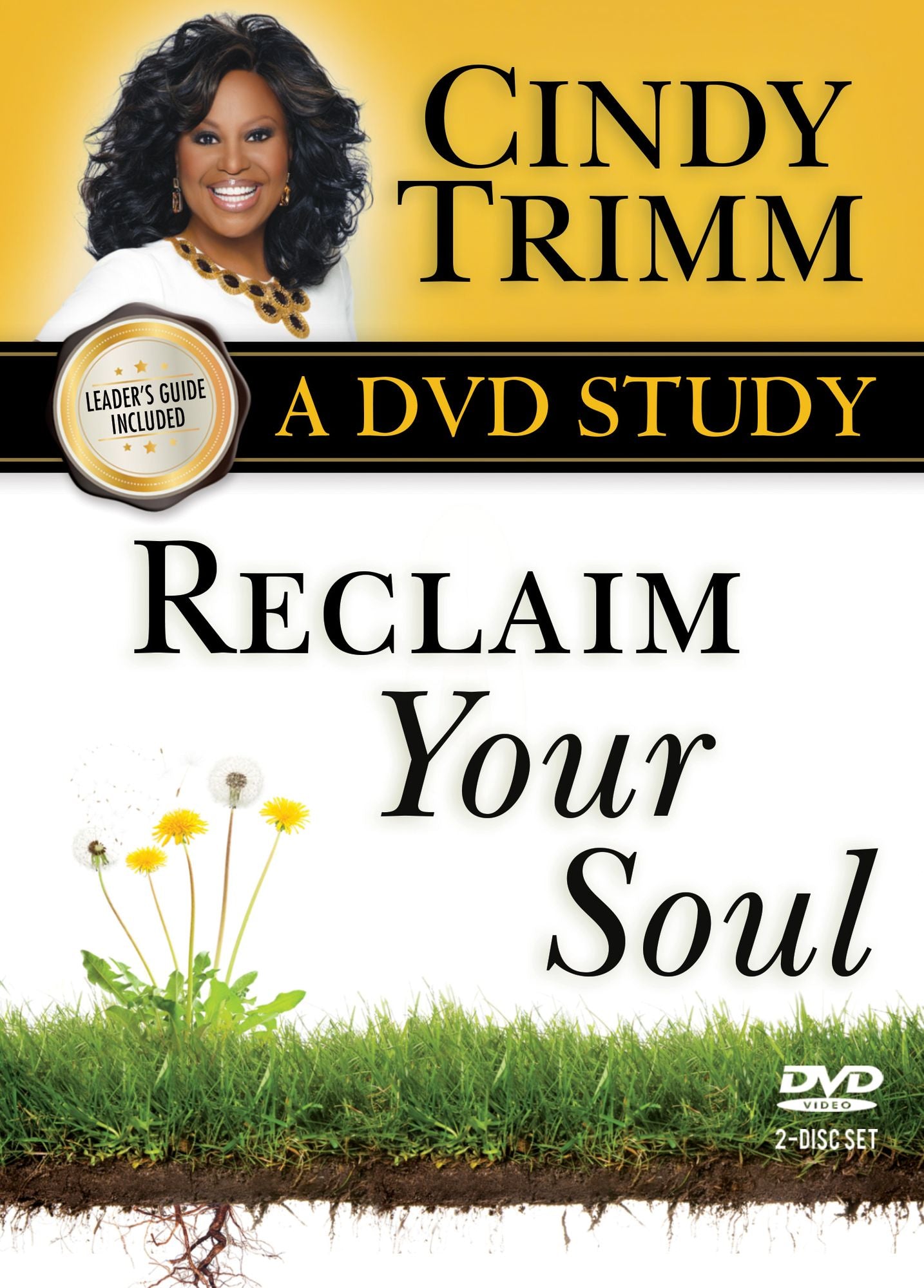Reclaim Your Soul: A DVD Study