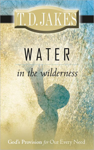Water in the Wilderness: God's Provision for our Every Need