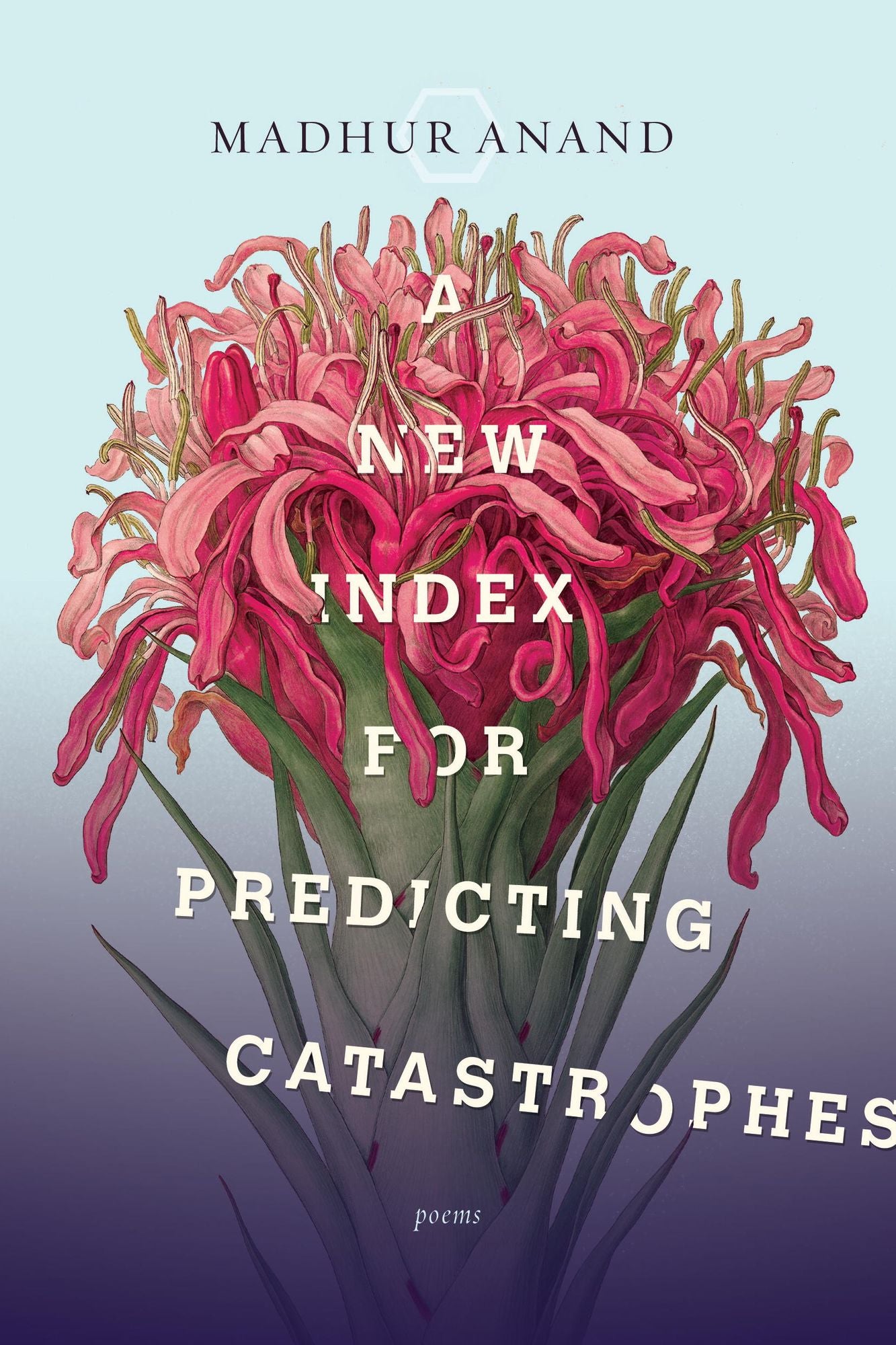 A New Index for Predicting Catastrophes: Poems