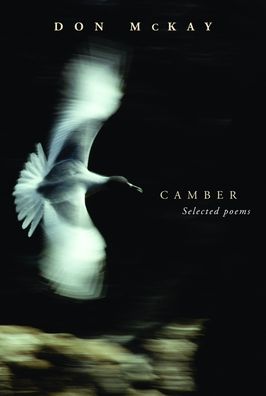 Camber