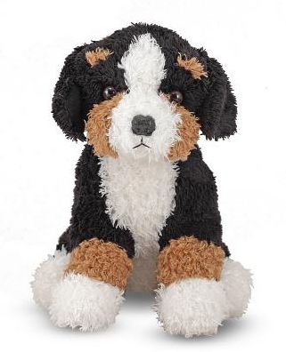 Berkley Bernese Berkley Bernese