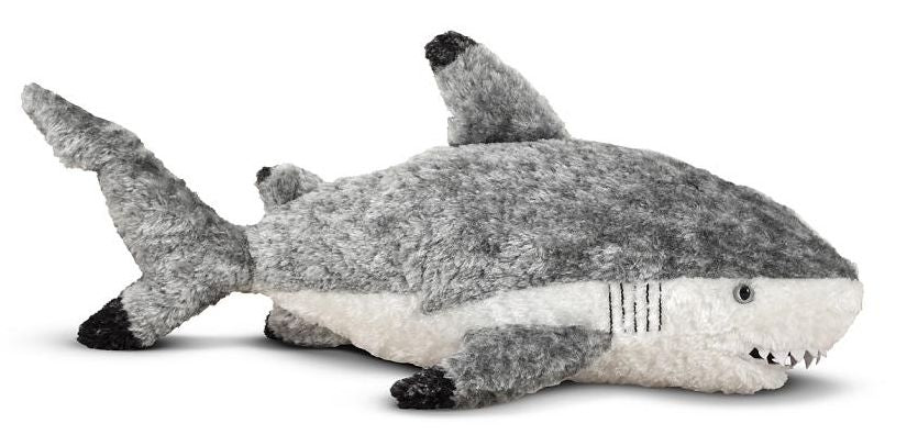 Finn Shark Finn Shark