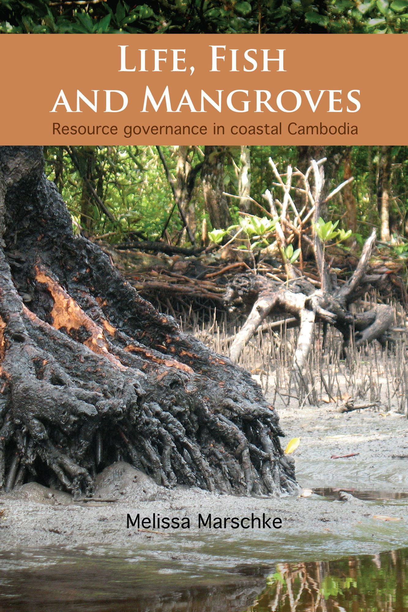 Life, Fish and Mangroves: Resource Governance in Coastal Cambodia