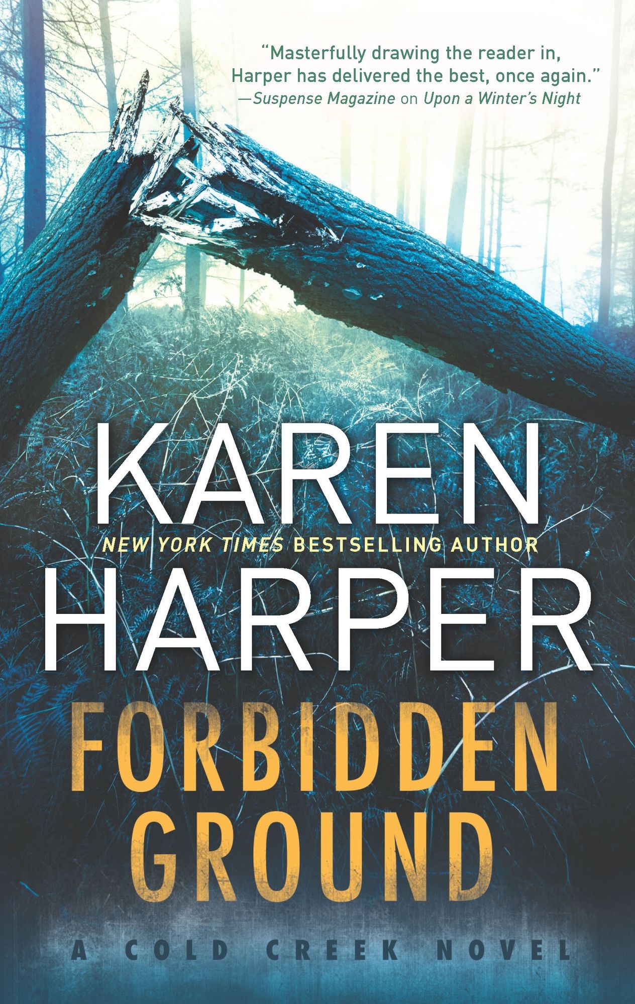 Forbidden Ground (Cold Creek Series #2)