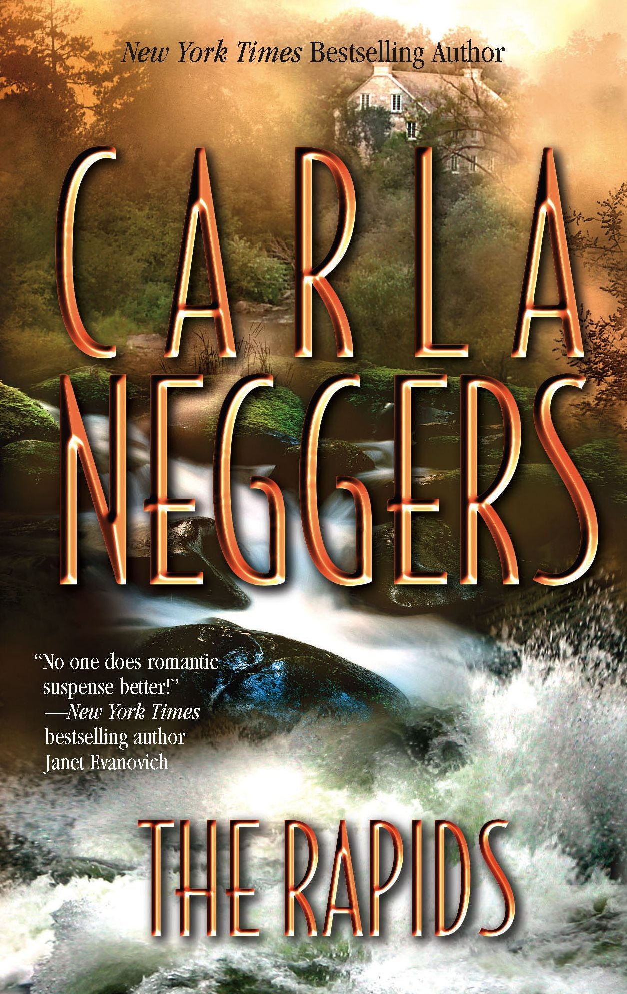 The Rapids (Cold Ridge/U.S. Marshall Series #3)