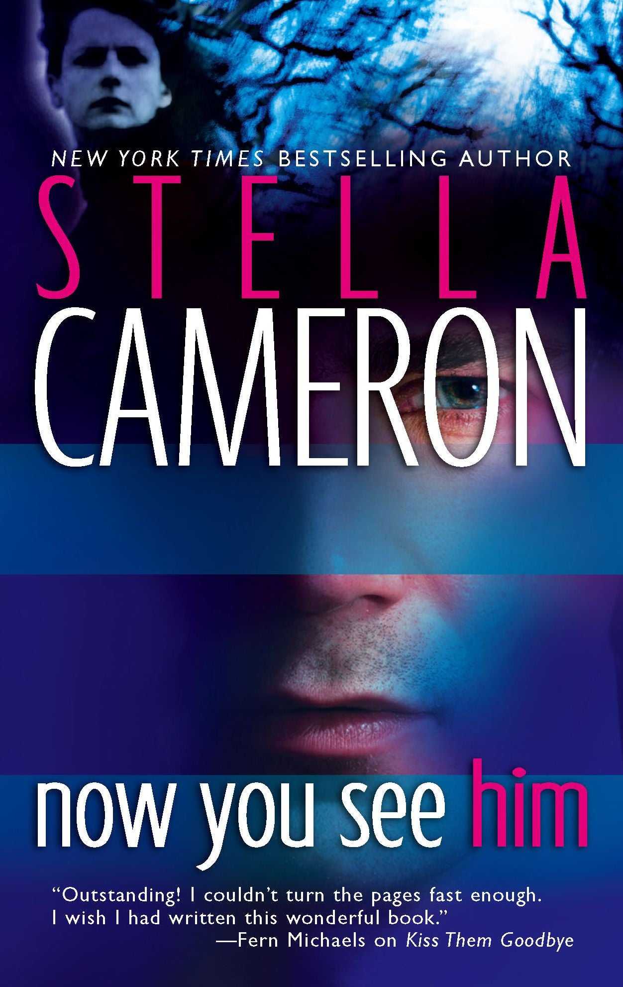 Now You See Him (Bayou Series)