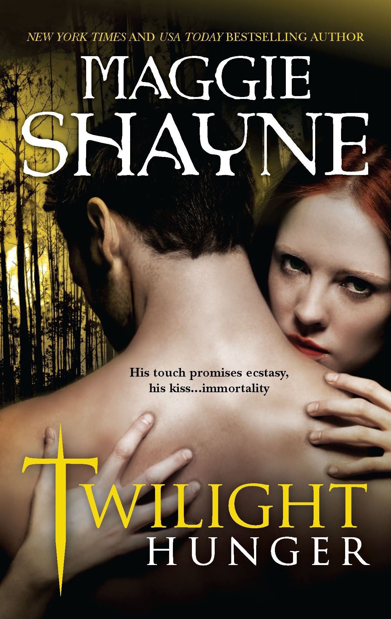 Twilight Hunger (Wings in the Night Series #5)