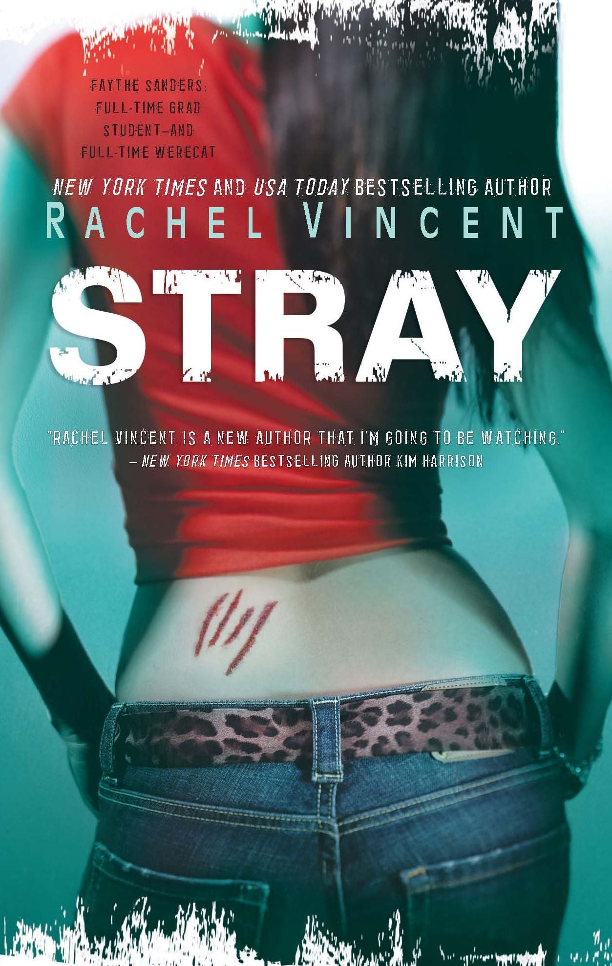 Stray (Shifters Series #1)