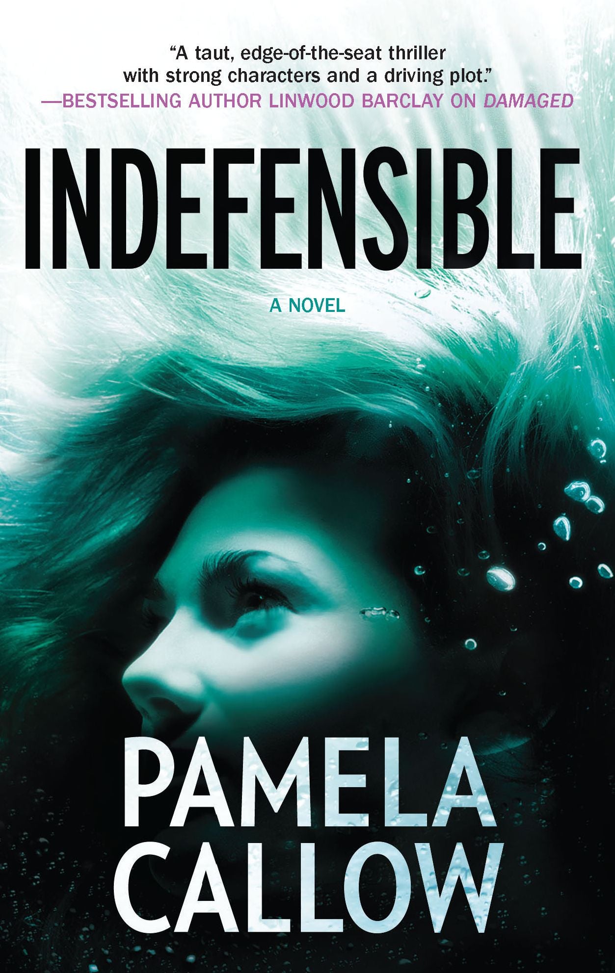 Indefensible