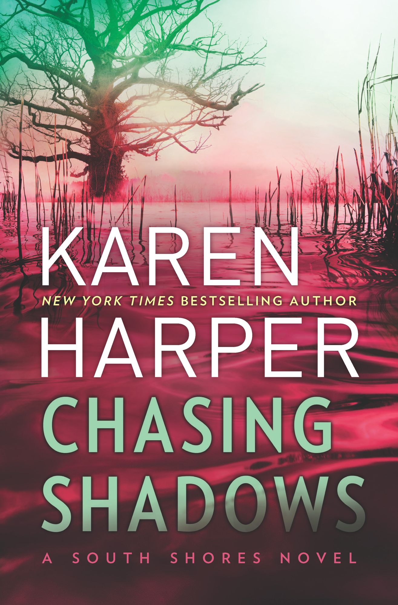 Chasing Shadows (South Shores Series #1)