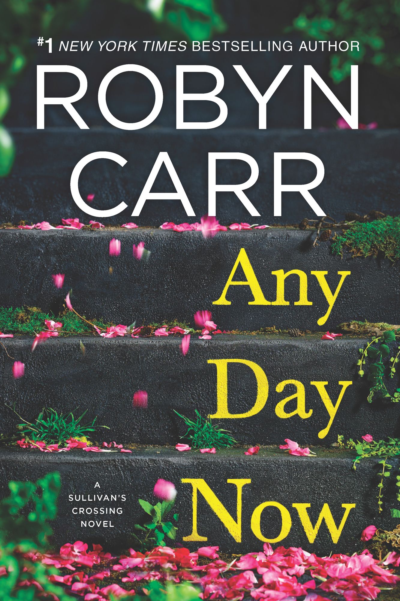 Any Day Now (Sullivan's Crossing Series #2)