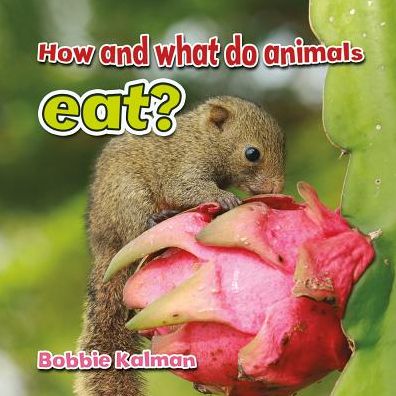 How and What Do Animals Eat?