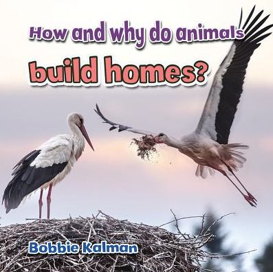 How and Why Do Animals Build Homes?