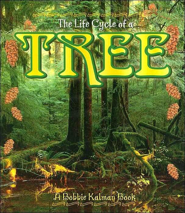 The Life Cycle of a Tree