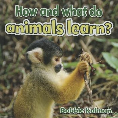 How and What Do Animals Learn?