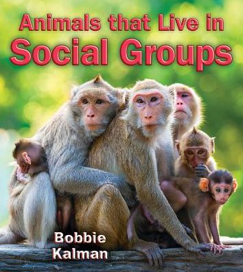 Animals that Live in Social Groups