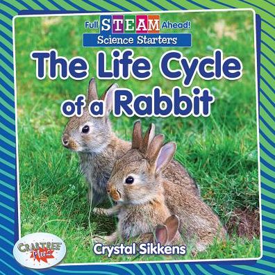 The Life Cycle of a Rabbit