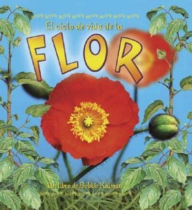 El ciclo de vida de la flor (The Life Cycle of a Flower