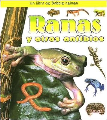 Ranas y otros anfibios
