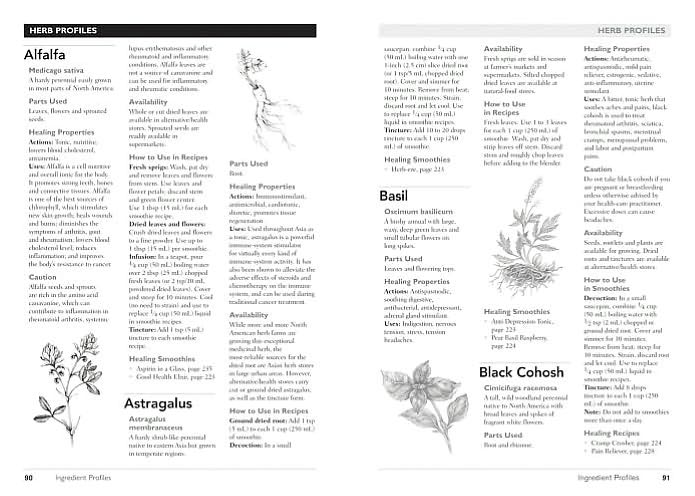 The Vegetarian Cook's Bible