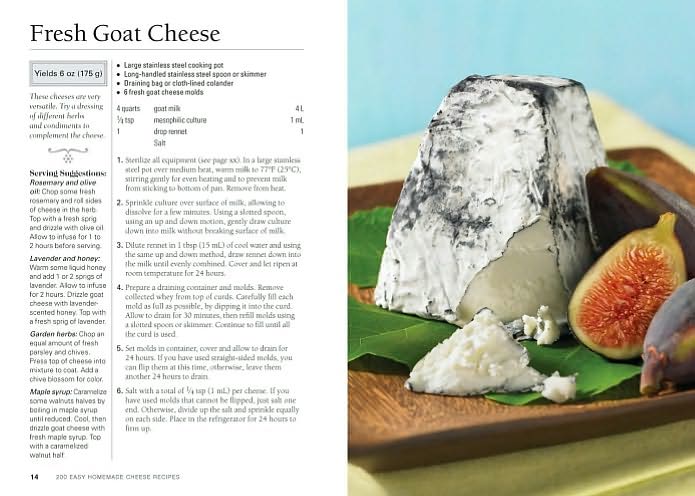 200 Easy Homemade Cheese Recipes: From Cheddar and Brie to Butter and Yogurt