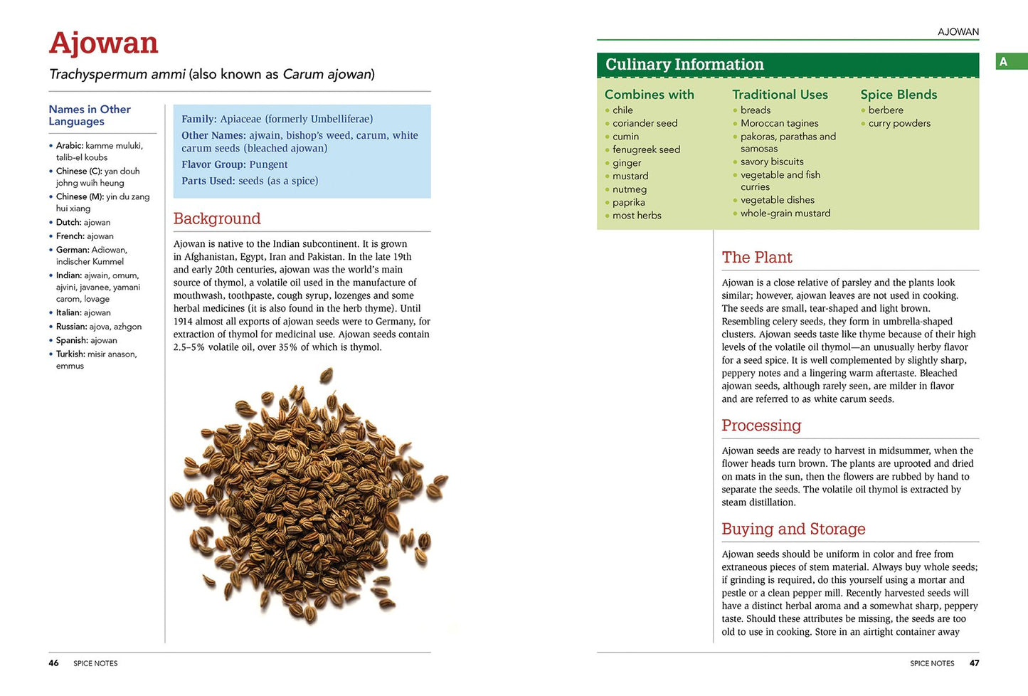 The Spice and Herb Bible