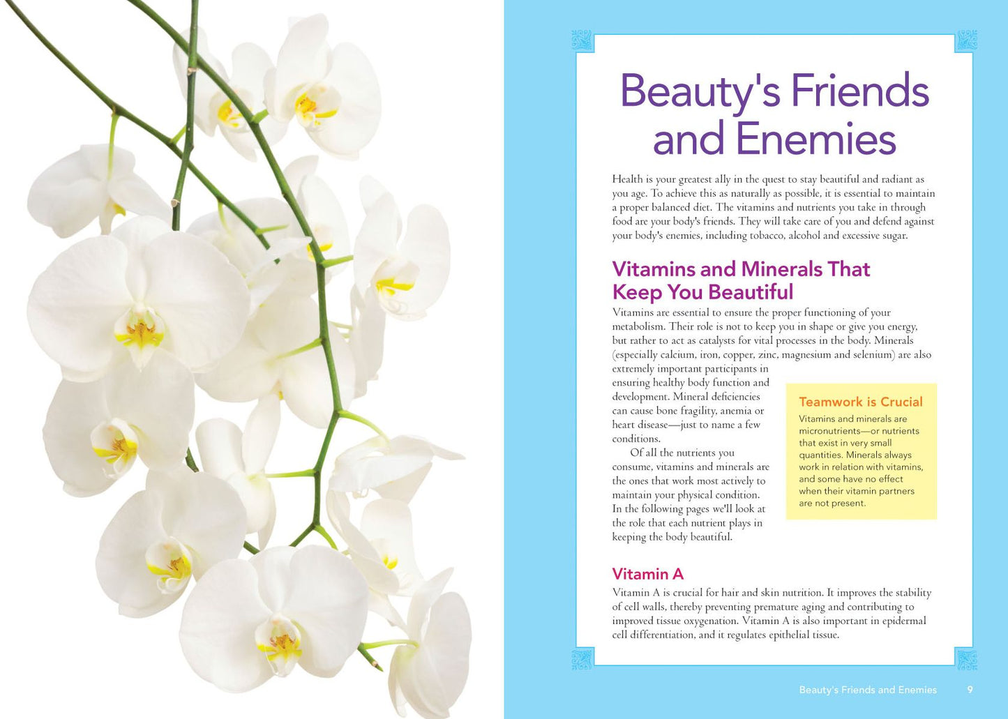 The Complete Guide to Natural Homemade Beauty Products and Treatments: 175 Recipes from Scrubs and Masks to Moisturizers and Shampoo