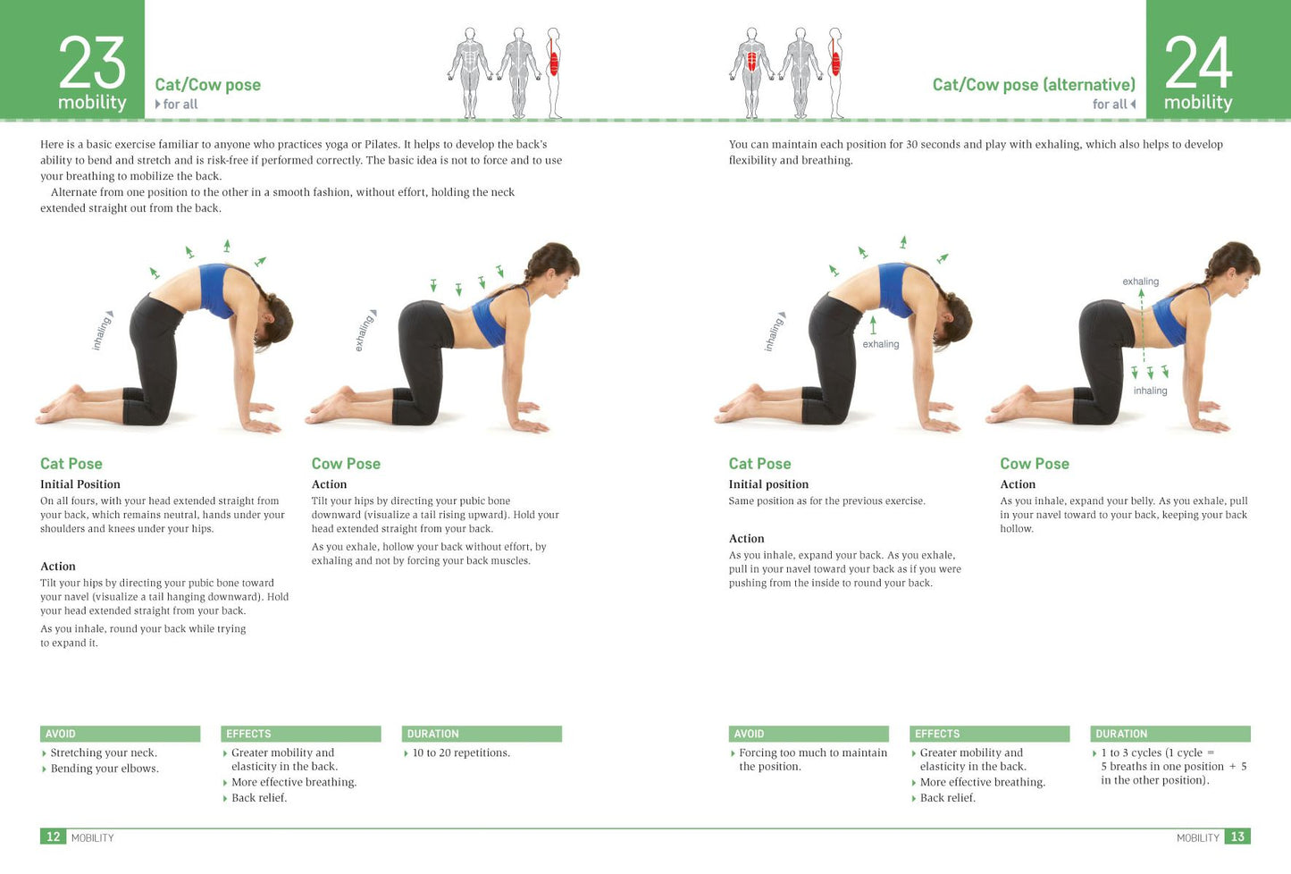 Cure Back Pain: 80 Personalized Easy Exercises for Spinal Training to Improve Posture, Eliminate Tension and Reduce Stress