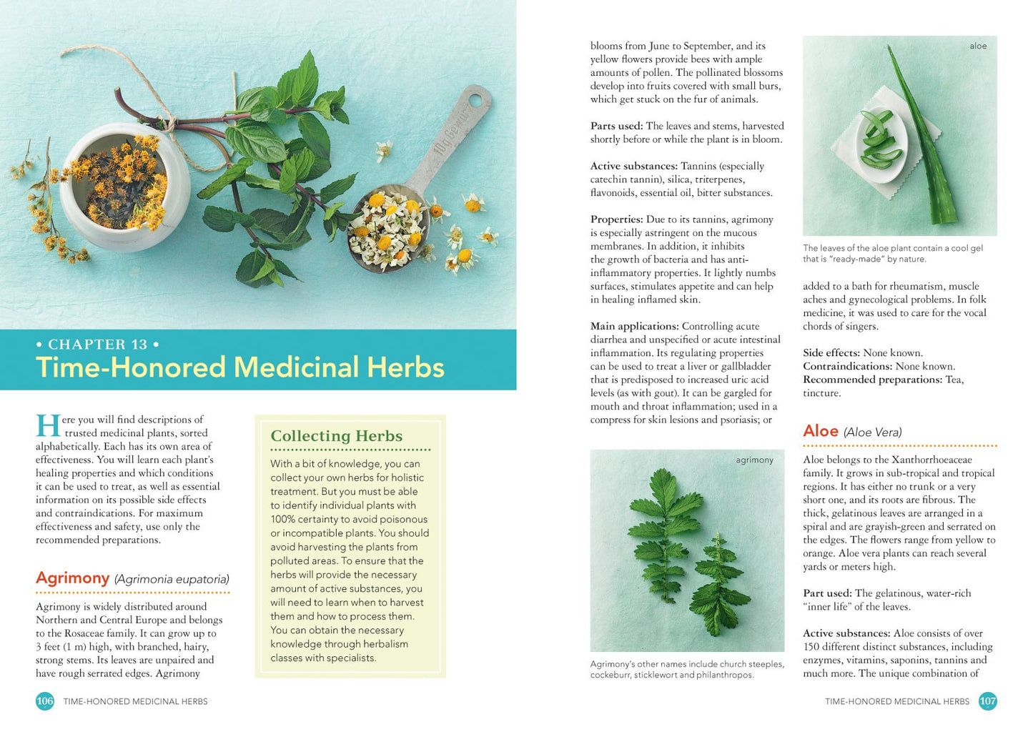 Natural Antibiotics and Botanical Treatments: Heal Your Body, Heal Your Mind