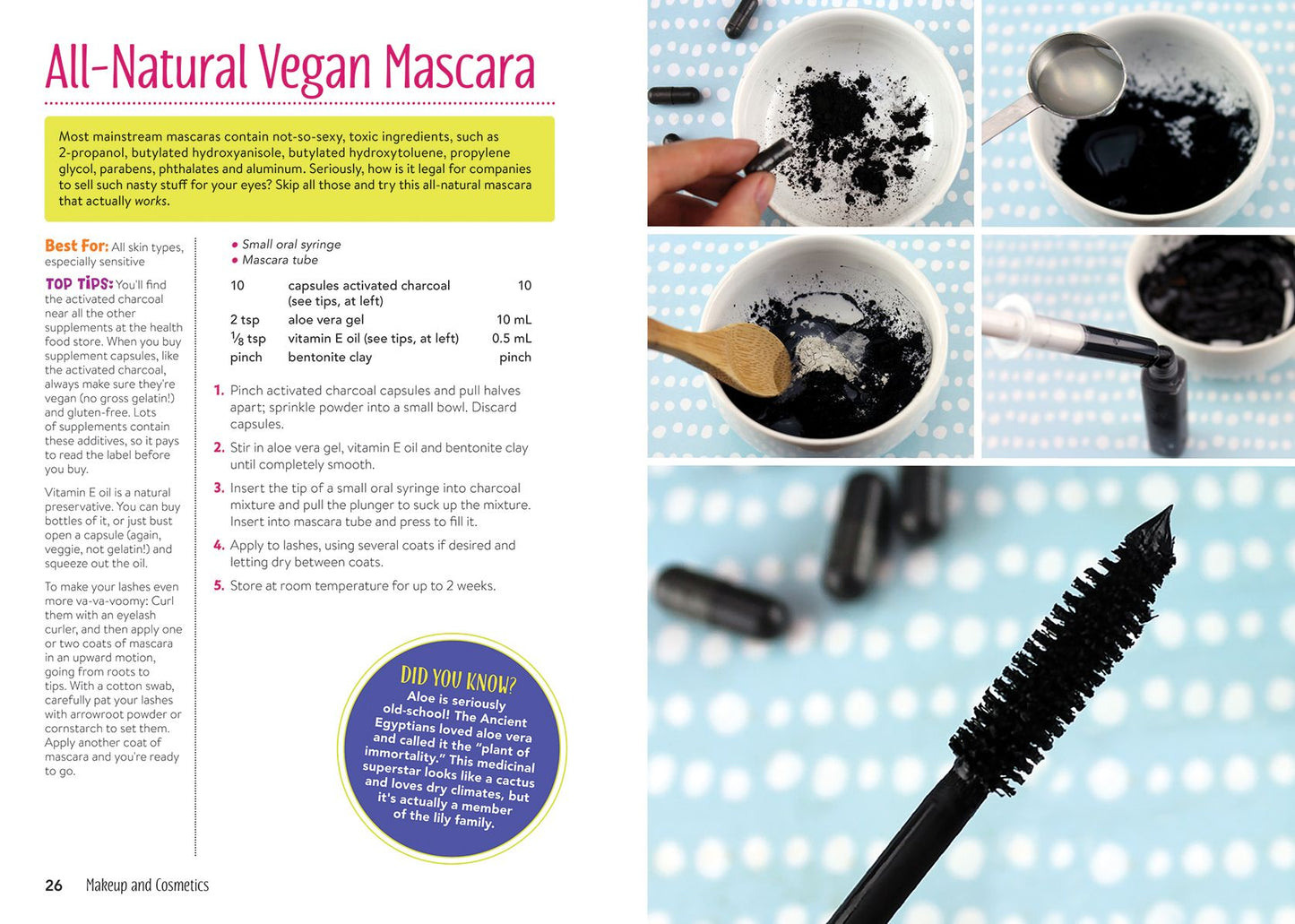 The Compassionate Chick's Guide to DIY Beauty: 125 Recipes for Vegan, Gluten-Free, Cruelty-Free Makeup, Skin and Hair Care Products