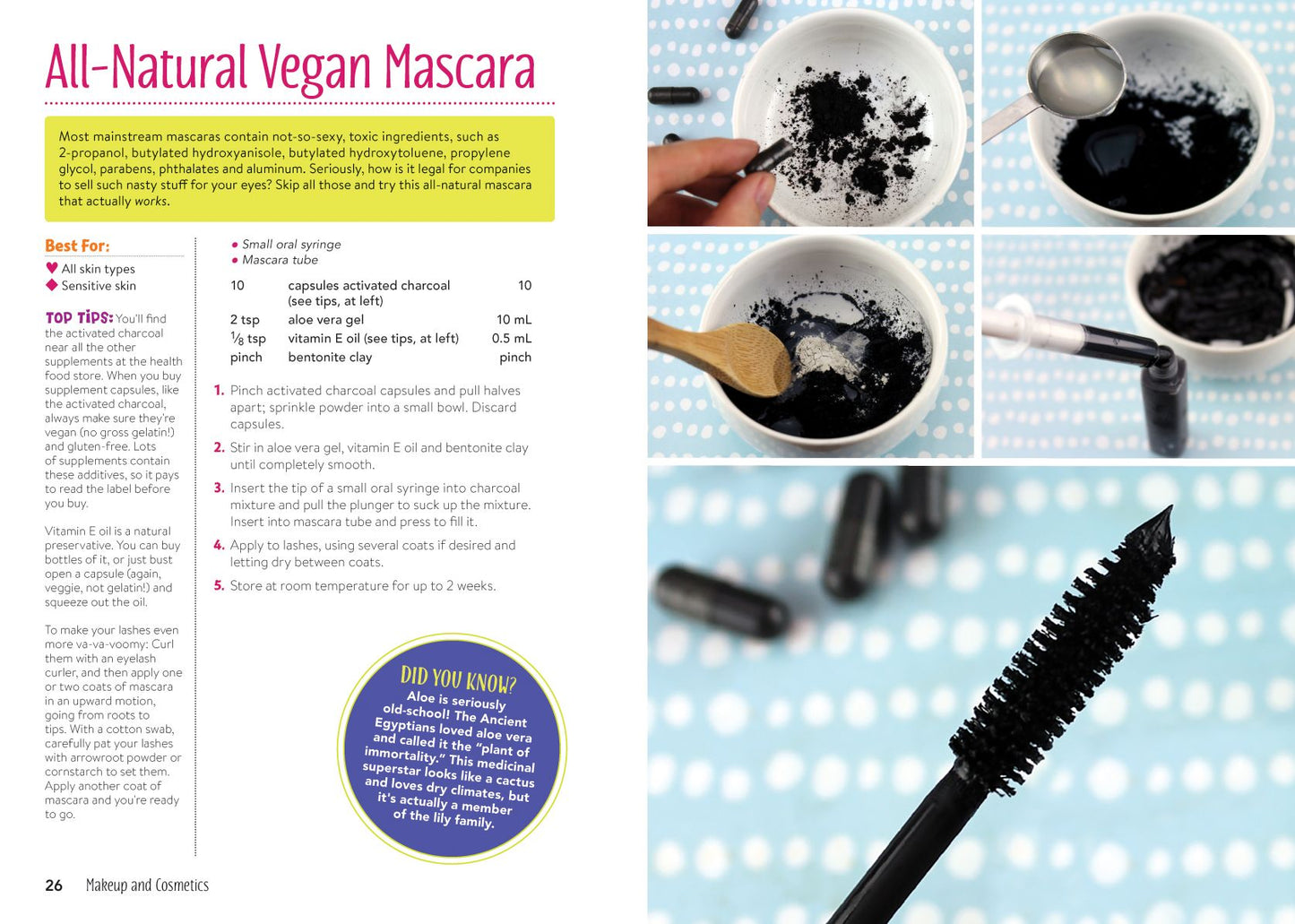 The Compassionate Chick's Guide to DIY Beauty: 125 Recipes for Vegan, Gluten-Free, Cruelty-Free Makeup, Skin and Hair Care Products