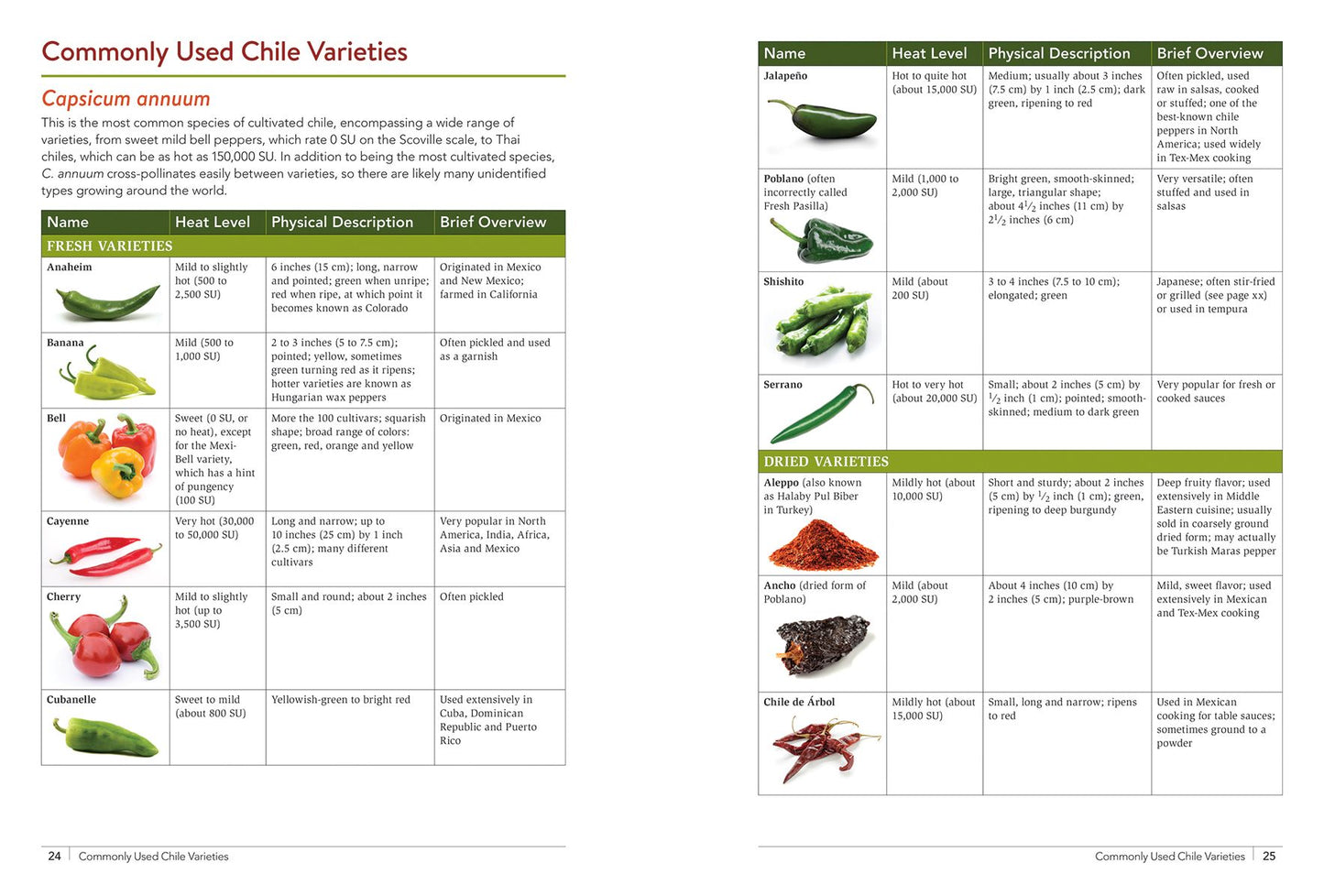 The Chile Pepper Bible: From Sweet to Fiery and Everything in Between
