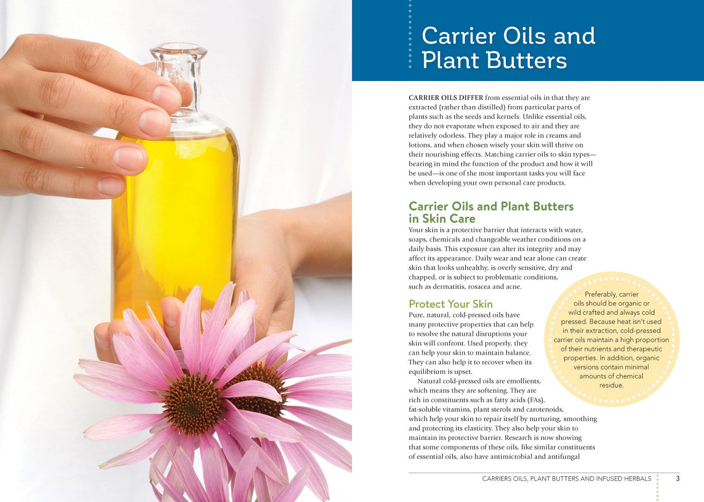 The Aromatherapy Beauty Guide: Using the Science of Carrier and Essential Oils to Create Natural Personal Care Products