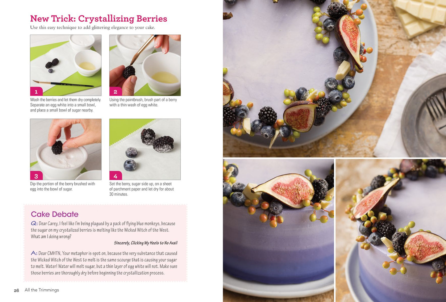 Buttercream Basics: Learn the Art of Buttercream Decorating