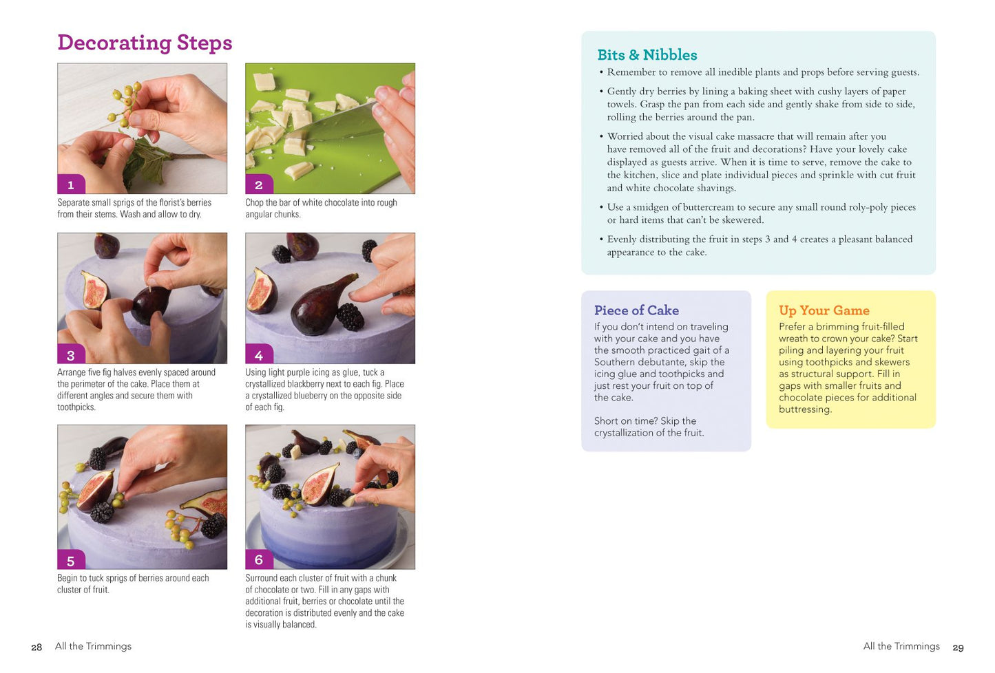 Buttercream Basics: Learn the Art of Buttercream Decorating