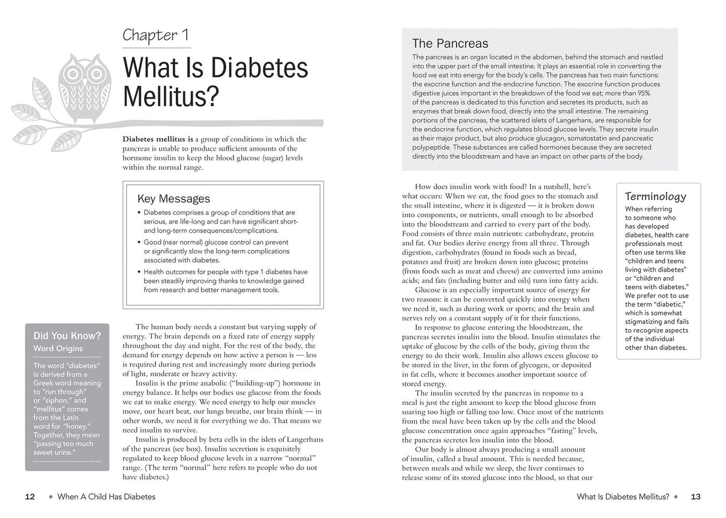 When a Child Has Diabetes
