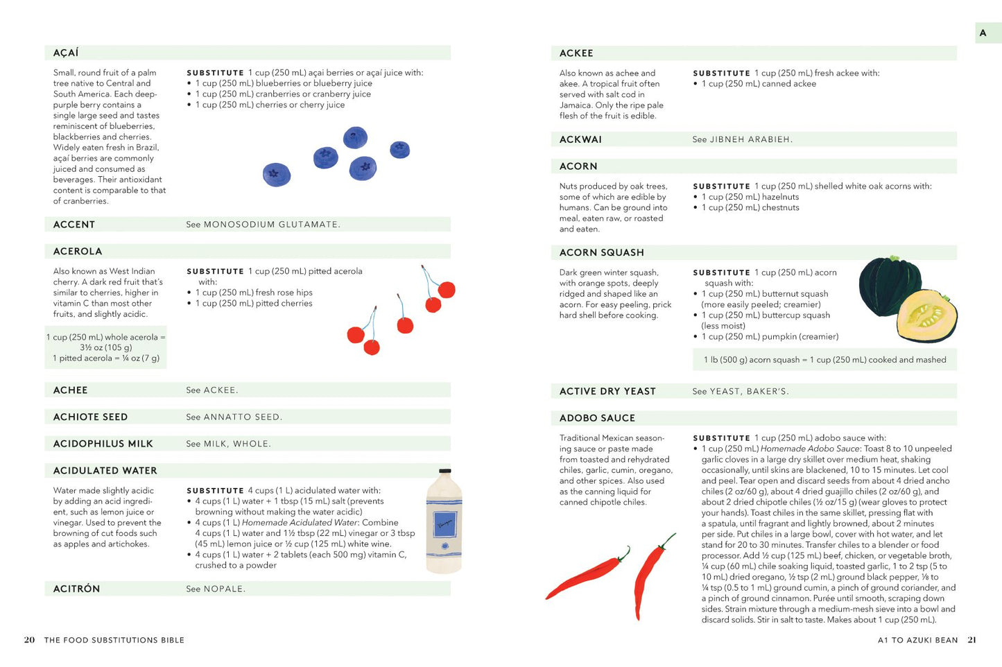 The Food Substitutions Bible: 8,000 Substitutions for Ingredients, Equipment & Techniques