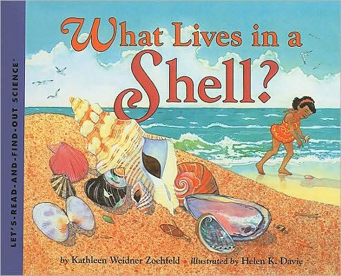 What Lives in a Shell?