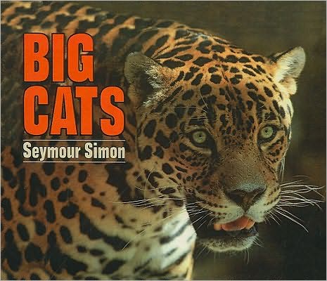 Big Cats