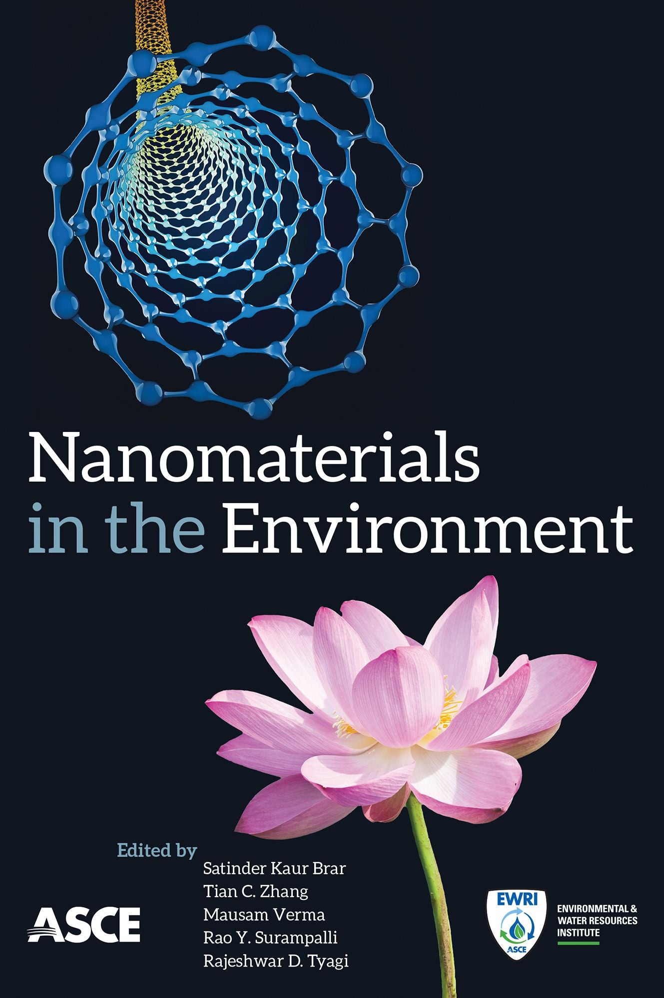Nanomaterials in the Environment