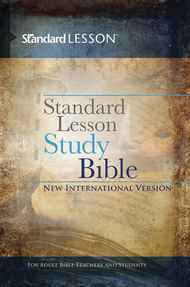SLTSB NIV HARDCOVER