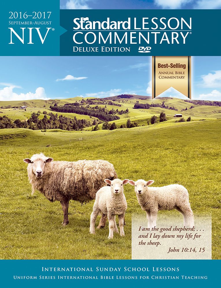 NIV® Standard Lesson Commentary® Deluxe Edition 2016-2017