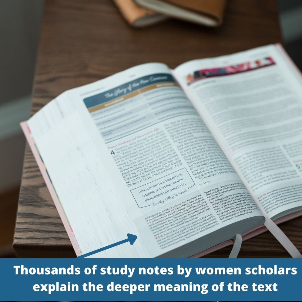 NIV, the Woman's Study Bible, Imitation Leather, Blue/Brown, Full-Color: Receiving God's Truth for Balance, Hope, and Transformation