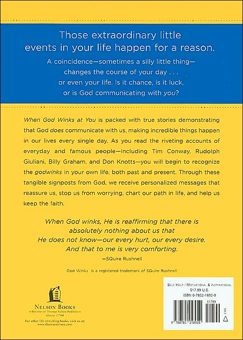 When God Winks at You: How God Speaks Directly to You through the Power of Coincidence