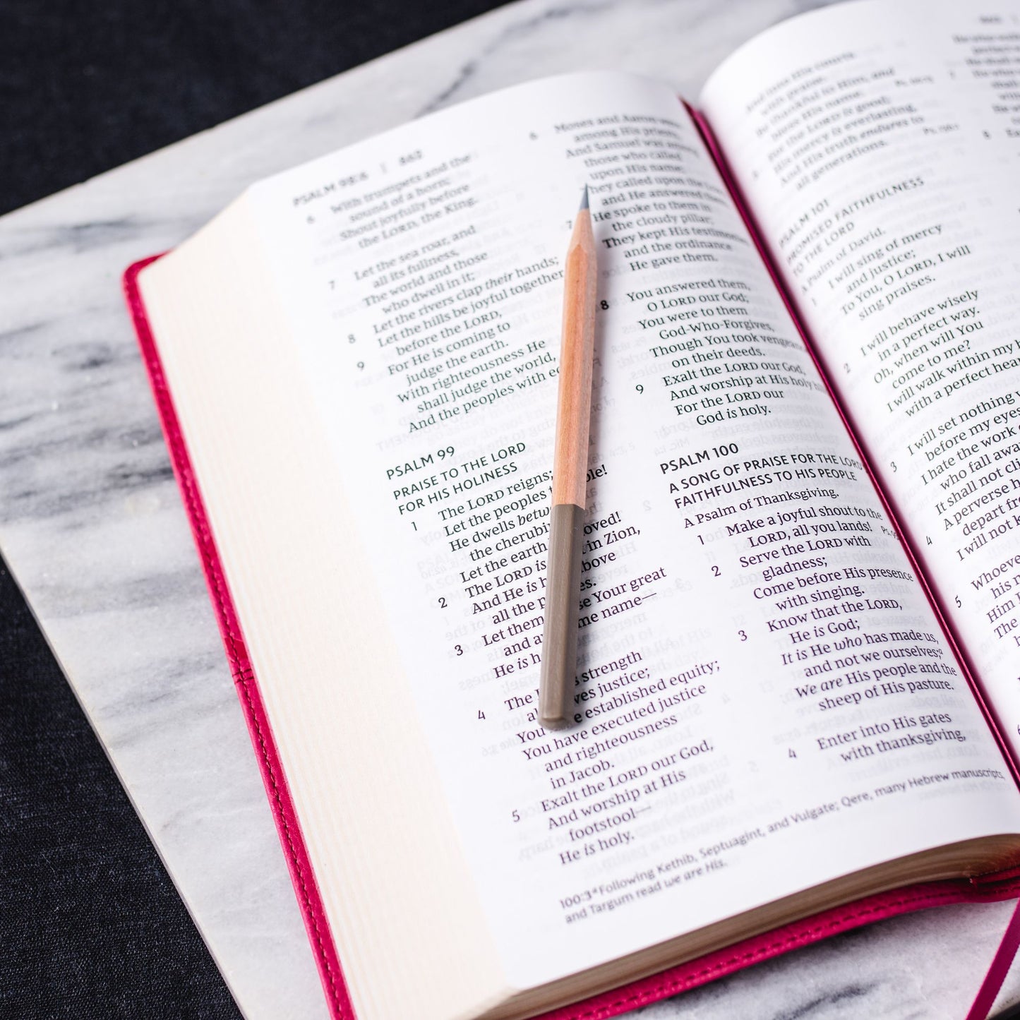 NKJV, End-of-Verse Reference Bible, Personal Size Large Print, Leathersoft, Pink, Thumb Indexed, Red Letter, Comfort Print: Holy Bible, New King James Version