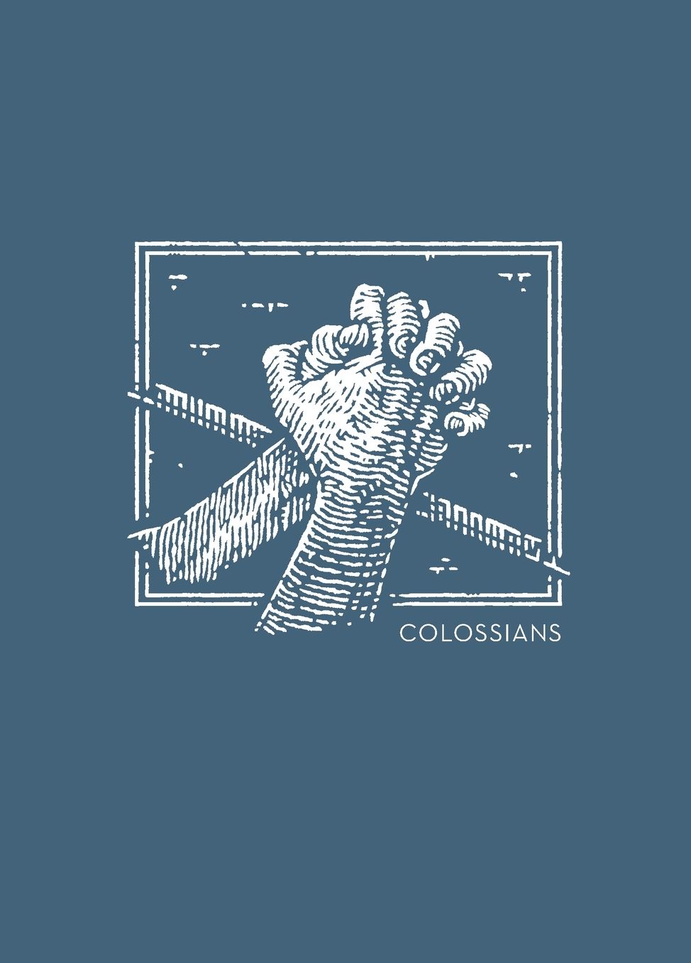 Net Abide Bible Journal - Colossians, Paperback, Comfort Print: Holy Bible