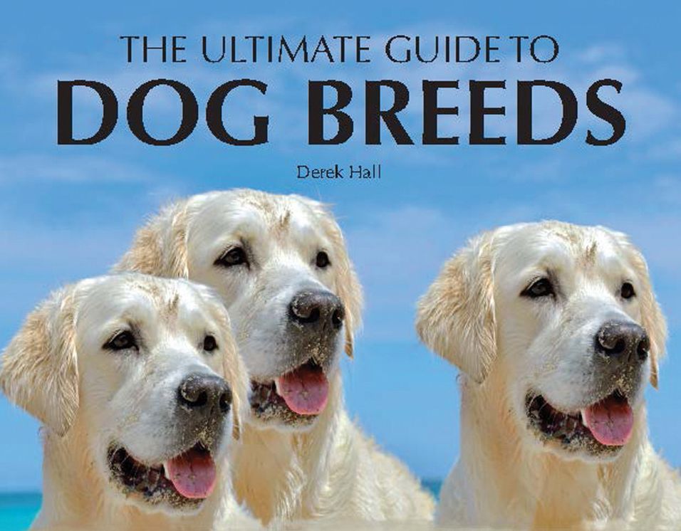 Ultimate Guide to Dog Breeds